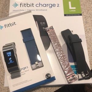 FitBit charge 2 size L